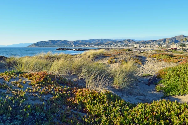 California